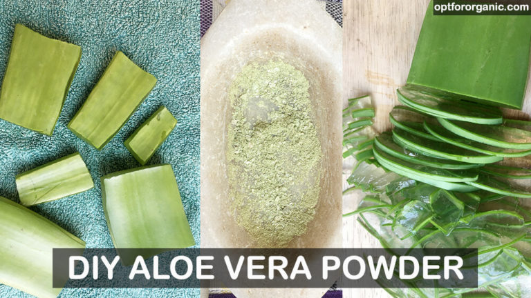 How to Make Aloe Vera Powder at Home (Video Tutorial)