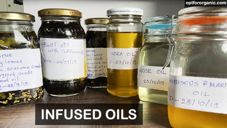 How To Make Infused Oil At Home | Video Tutorial
