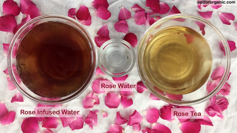 How To Make Pure Natural Rose Water At Home?
