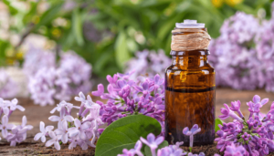 Lilac essential oil benefits